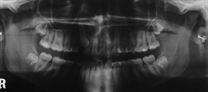 D229124257 D229124257