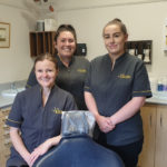 dental hygienists therapists